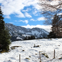 Hundetreffen 2014 im Allgäu (18)
